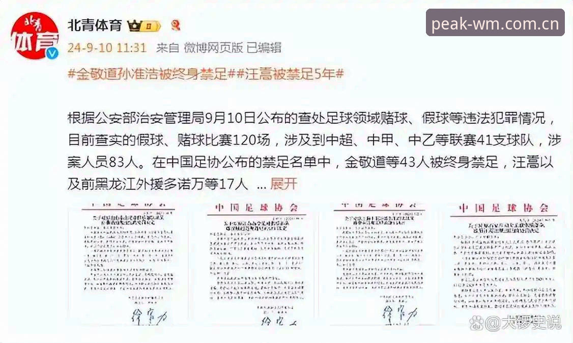 完美体育下载安装失败 透视足协第三批禁足名单背后的5个关键点——体育赛事平台的深度解读